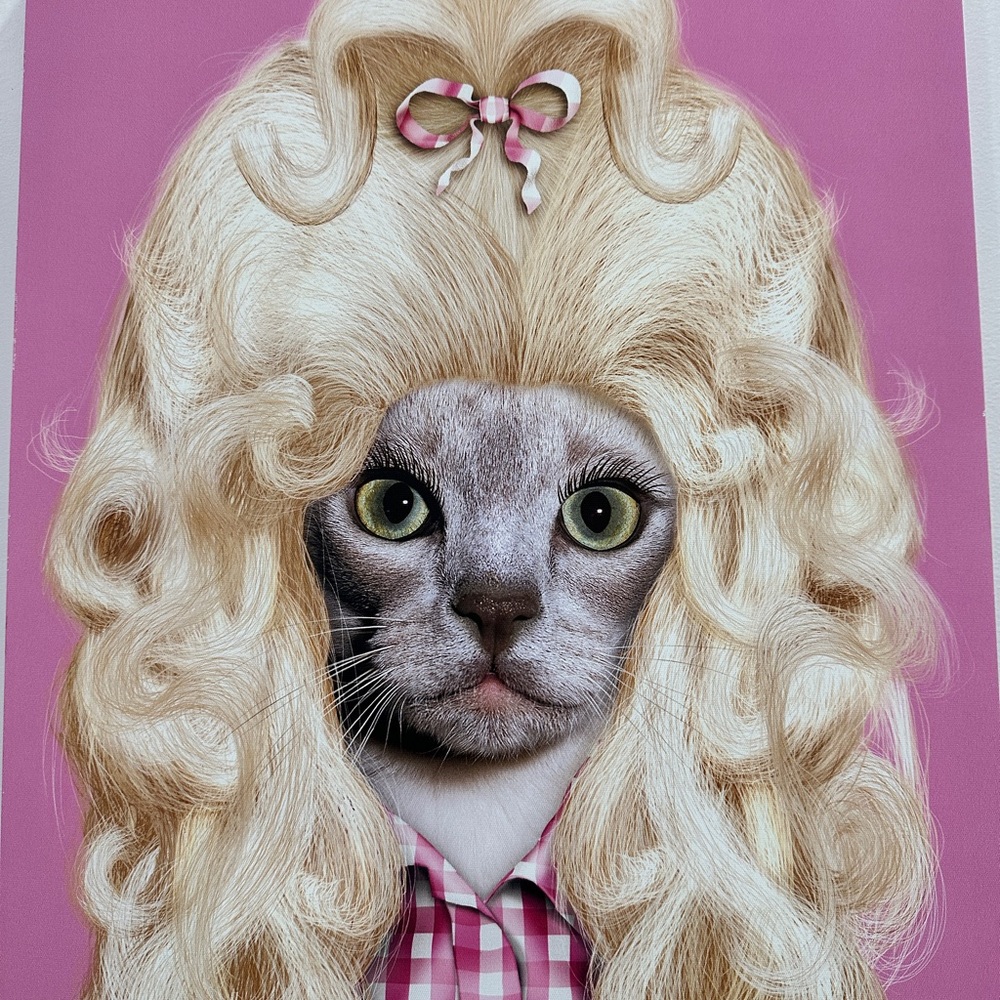 Meet your Posher, Caroline